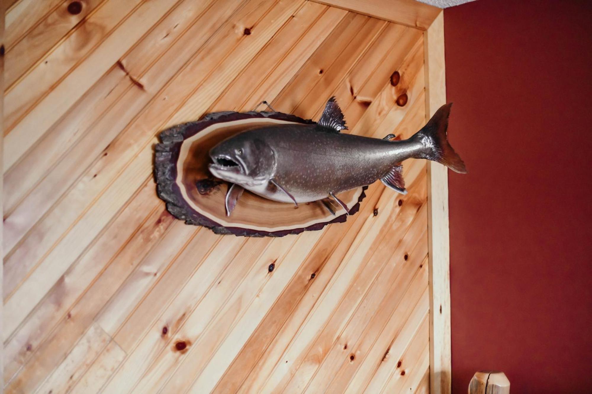 Briarwood Motor Inn リンカーン エクステリア 写真